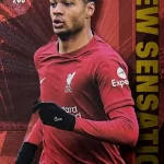 Cody Gakpo - Liverpool - New Sensation - #260