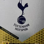 Escudo - Tottenham Hotspur FC	 - Club Badge - #149