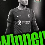 Virgil van Dijk - Liverpool - Winner - #188