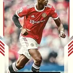 Paul Pogba - Manchester United - Carta Base - #65