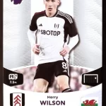 Harry Wilson - Fulham FC - Team Mate - #180