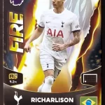 Richarlison - Tottenham - Fire - #409