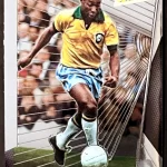 Pelé - Brasil - Season Highlight - #95