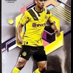 Jude Bellingham - Borussia Dortmund - Carta base - #22