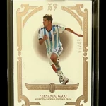 Fernando Gago - Argentina - Numerada 06/49 - Box acrilico One Touch - #41