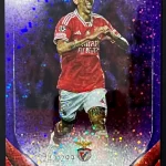 Ángel Di María - Benfica - Numerada 242/299 - #53
